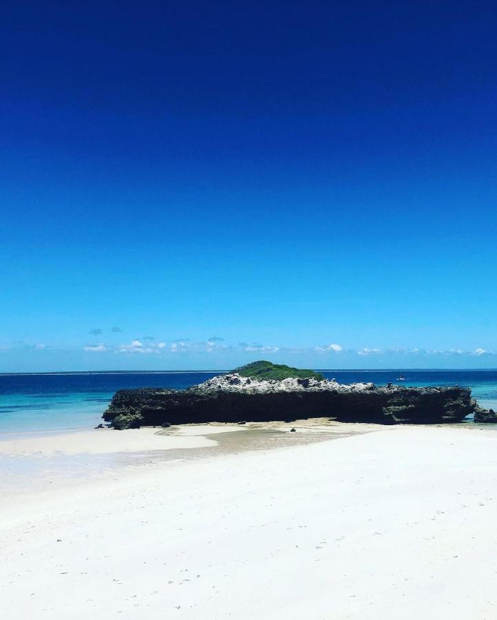 Dolphin Dhow Beach Safaris ビランクロス エクステリア 写真