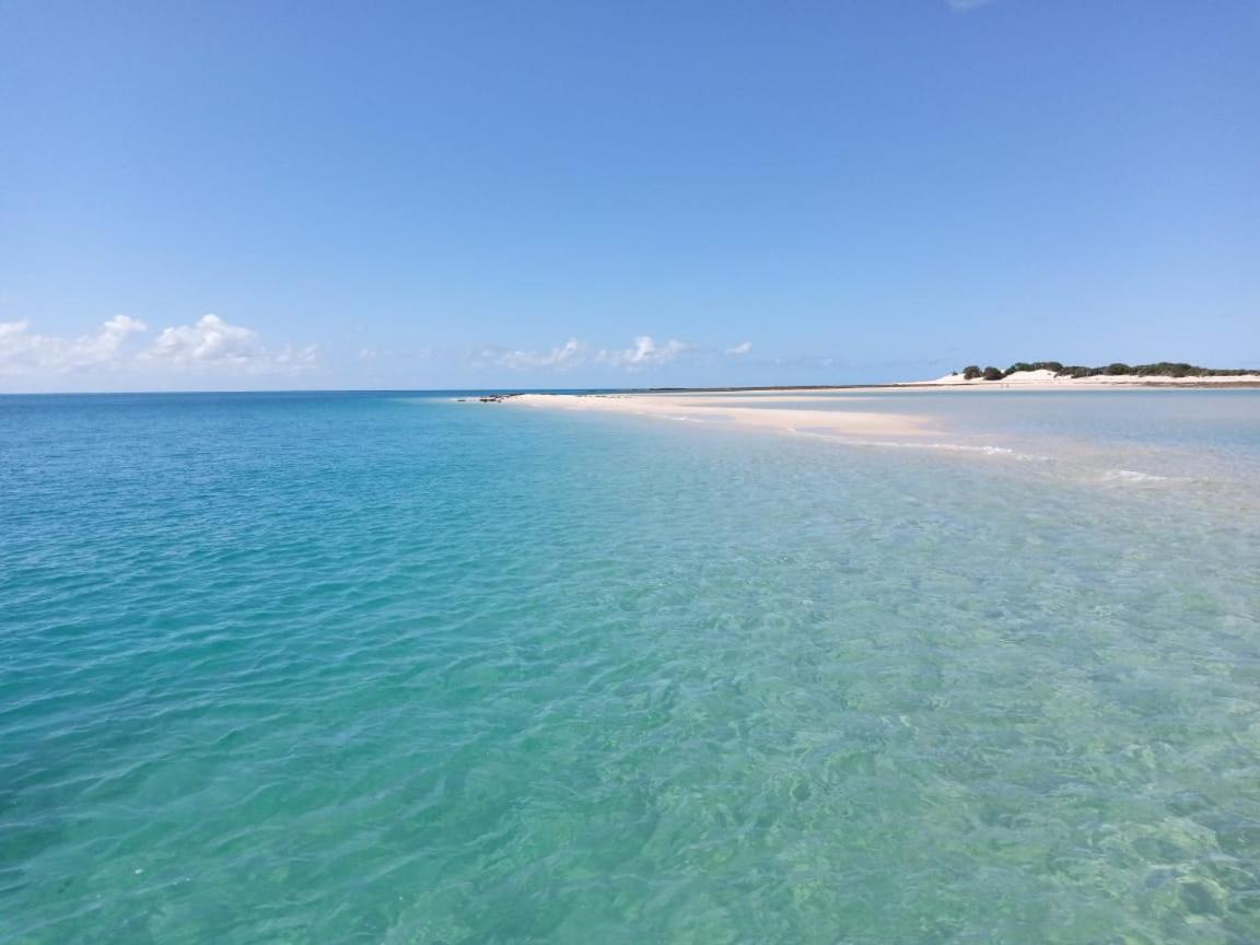 Dolphin Dhow Beach Safaris ビランクロス エクステリア 写真