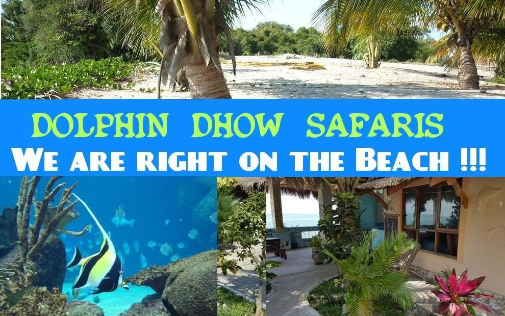 Dolphin Dhow Beach Safaris ビランクロス エクステリア 写真