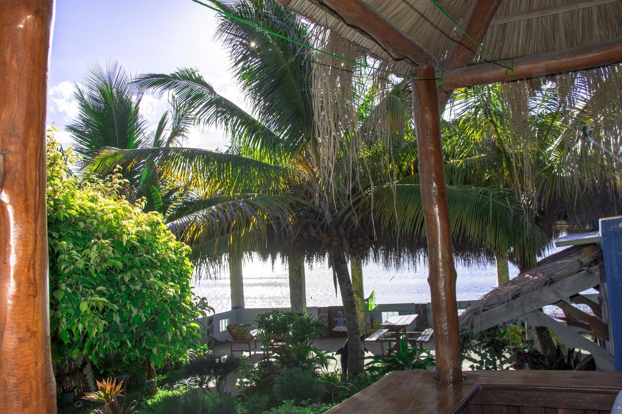 Dolphin Dhow Beach Safaris ビランクロス エクステリア 写真